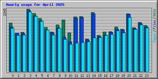 Hourly usage for April 2025