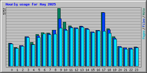 Hourly usage for May 2025