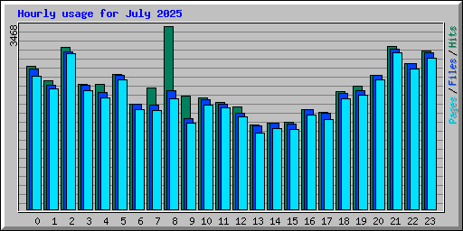 Hourly usage for July 2025