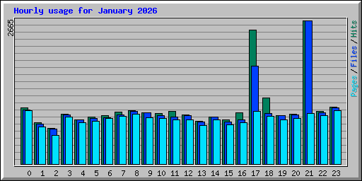 Hourly usage for January 2026