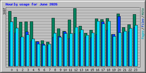Hourly usage for June 2026